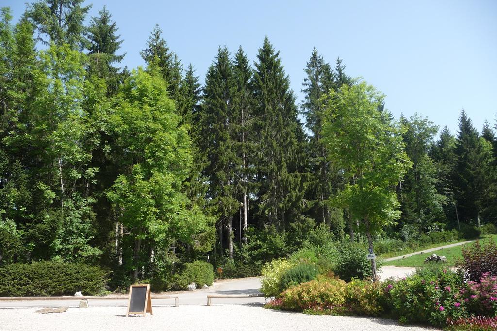 Domaine De La Sapiniere Hotel Thorens-Glières Kültér fotó
